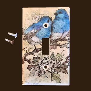 EUC Bluebird Single Light Switch Plate